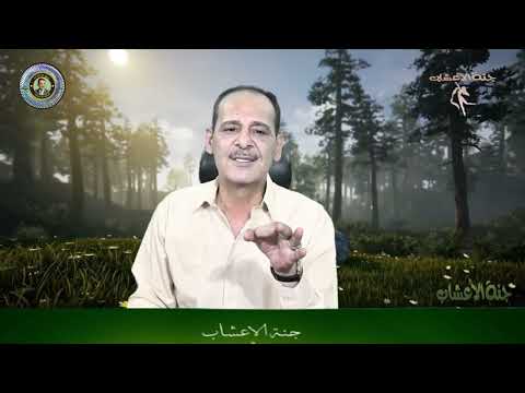 دوالي القدمين مشاكل الاوعيه الدمويه بالساق وصفات طبيعيه مــع خـبـيـر الاعشاب حسن خليفه