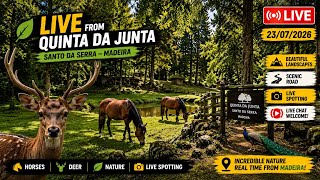 🌿 LIVE FROM QUINTA DA JUNTA 🦌 Horses • Deer • Nature • Madeira