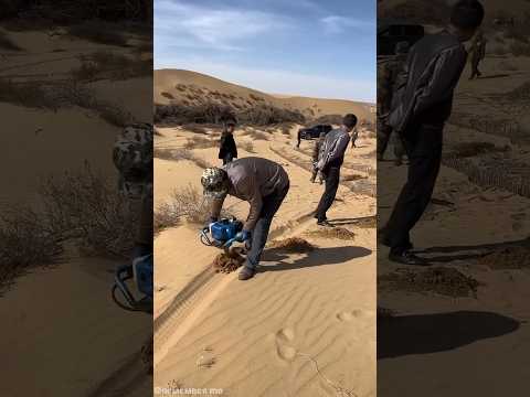 desert green project🏜️😲रेगिस्तान में हरियाली #hindi #mongolia #desert #green #shorts #india #facts
