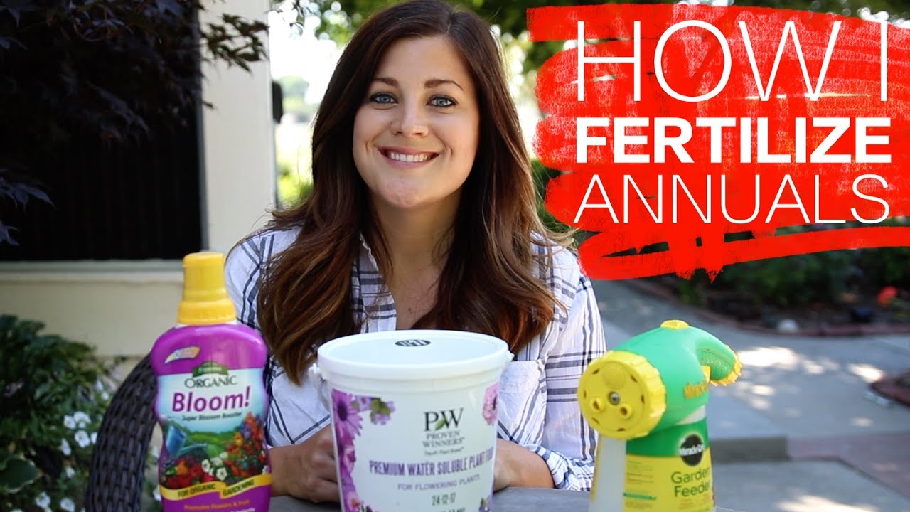 How I Fertilize Annuals