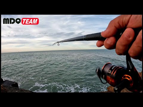 PESCA en SOLITARIO con FRIO POLAR mdqteam