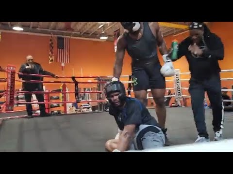 Battle Of The Giants: Heavyweights Clash - SPAR WARS!