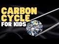Exploring the Importance of Carbon in Life on Earth