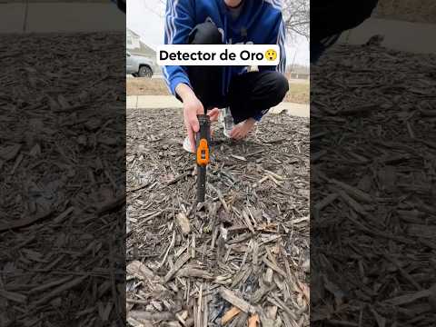 Hago TRAMPA y consigo ORO REAL en los ladrillos