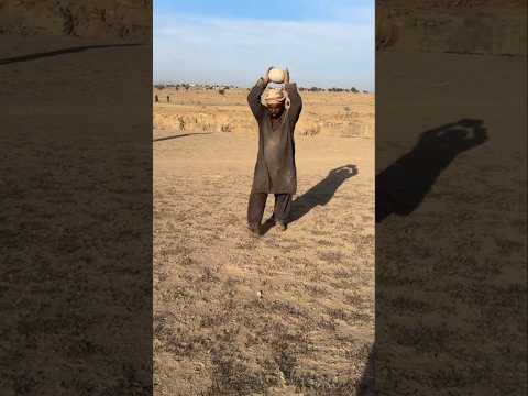 What Was Hiding Under the Sand #shorts