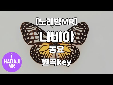 [하다지노래방] 나비야 MR (C 원곡key) / 하다지MR