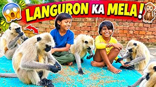 😱 Languron Ka Pura Jhund आया Chana Party करने! 🐒