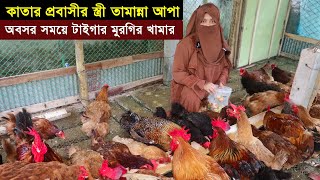 কাতার প্রবাসীর স্ত্রী তামান্না আপা অবসর সময়ে টাইগার মুরগির খামার করে বাড়তি আয় করেন। Morgi Farming