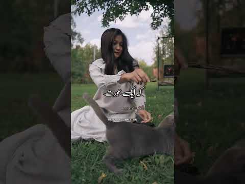 Hazrat Mohammad ï·º Ne Billi Ke Bare Main Kya Farmaya Hai | New Urdu Islamic Whatsapp Status
