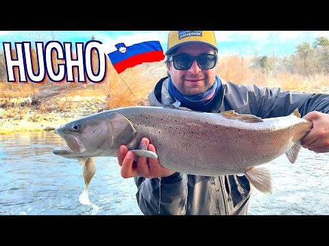 LA RIVINCITA! Avventura di Pesca in Fiume al RE dell'Inverno in Slovenia [Hucho hucho]