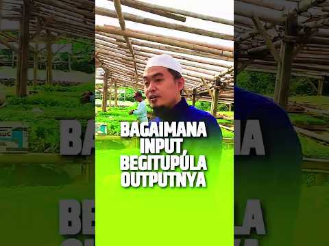 Bagaimana Input, Begitupula Outputnya - Ustadz Ujie Efendi, BA