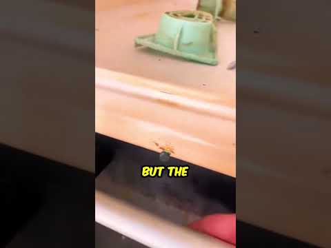 The Danger Inside the Washing Machine 🧺 😯