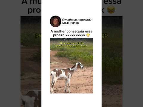 O bichinho ficando bravo me quebrou: #shorts