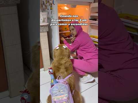 Yo me robé el pollo en mi mochila 🤣🐶 #comedia #humor #pet #dog #perros #perrosgraciosos #dogslife