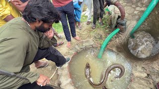 देखिए किस प्रकार से इस कुएँ से जहरीले कोबरा सांप को रेस्क्यू किया गया! 🫪 Big Cobra Snake Rescue