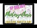 Exploring Photosynthesis Through Drawing