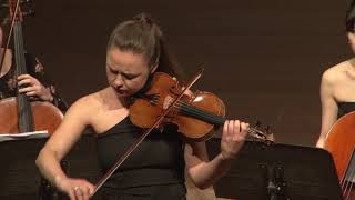 Tchaikovsky violin concerto op.35 - First 5 minutes