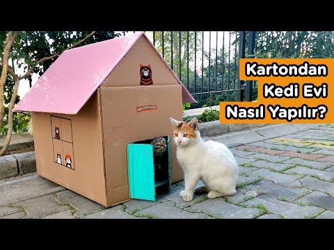 Kartondan Kedi Evi Nasıl Yapılır?