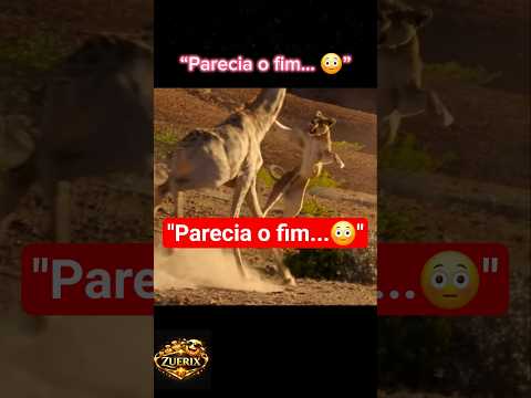 Parecia o fim...