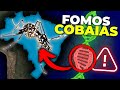 Mosquitos Transgênicos e Ecologia