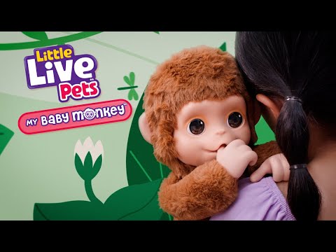 Little Live Pets - My Baby Monkey | BIG W