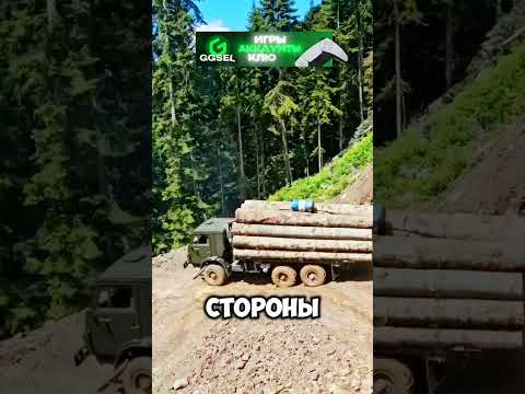 ТРЭШ! ВЫВОЗЯТ ЛЕС В КИТАЙ ИЗ СИБИРИ 😱😳