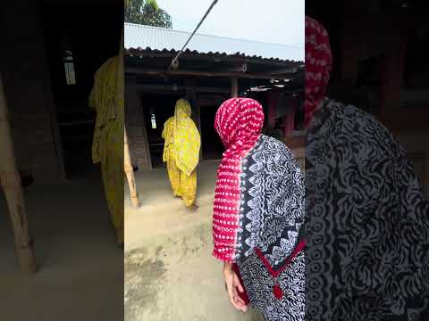 কালো চাচীর সুখের দিন