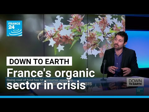 YouTube video thumbnail: France's Organic Sector in Crisis: Is the end in Sight?