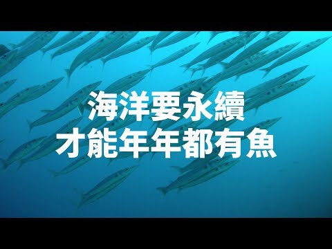 海洋要永續，才能年年都有魚｜科學大爆炸EP.74 - YouTube