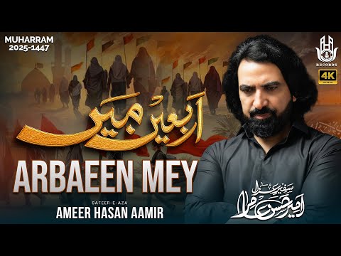 Nohay 2025 | Arbaeen Mey | Ameer Hasan Aamir Nohay 2025/1447