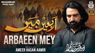 Nohay 2025 | Arbaeen Mey | Ameer Hasan Aamir Nohay 2025/1447