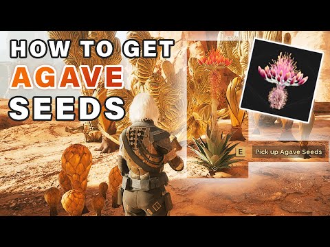 How to get Agave Seeds | Resource Location ► Dune: Awakening