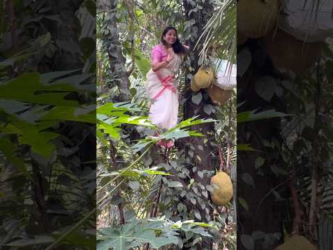 ചക്ക കൊയ്യുന്ന അനുമോൾ 😍 anumol ! actress ! mollywood ! jack fruit #shorts