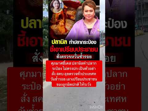 ปลานิลิทำปลากระป๋องชี้เอาเปรียบประชาชน #เอ็มสีนวนแมวจร