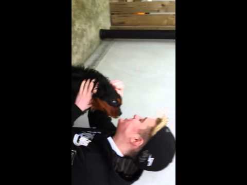 Jedward's Adorable Pit Bull