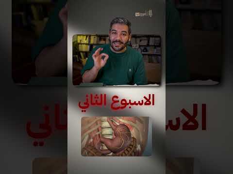 تخيل لو البكتيريا اختفت فجأة من العالم 😱🦠 #كتب #علوم #اكسبلور
