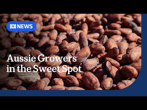 YouTube video thumbnail: Australian Chocolate Gains a Competitive Edge in Global Cocoa Shortage