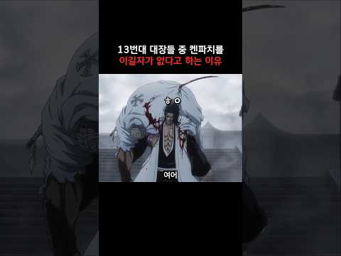13번대 대장들 중 켄파치를 이길자가 없다고 하는 이유 #블리치 #bleach
