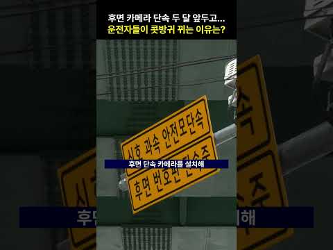후면 단속 카메라 있으나 마나...왜?