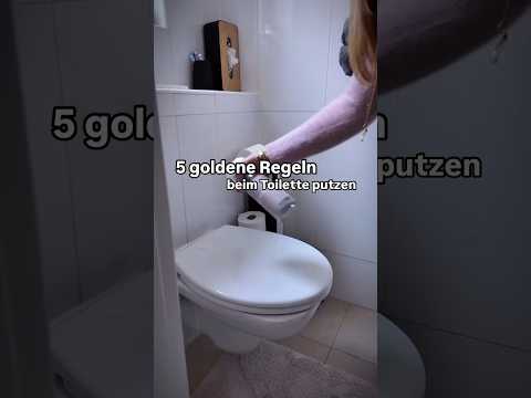 5 goldene Regeln beim Toilette putzen