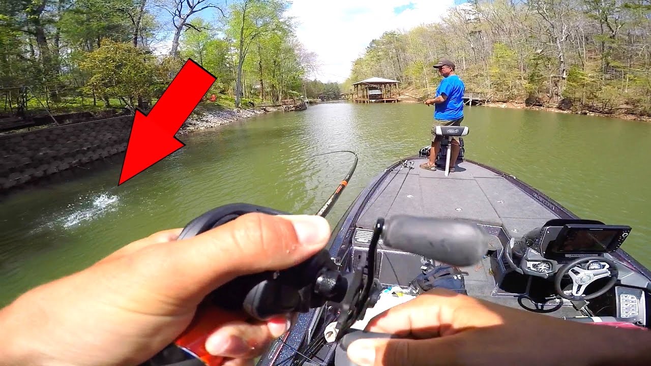 Catching BIG Bass on BIG Swimbaits