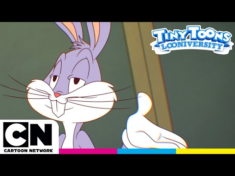 Tiny Toons: Looniversidad | ¡Lo mejor de los profesores! | Cartoon Network