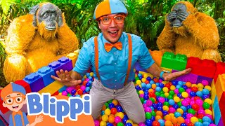 Blippi Plays Jungle Ball Pit Eye Spy | Blippi and Meekah Best Friend Adventures | Educational Videos