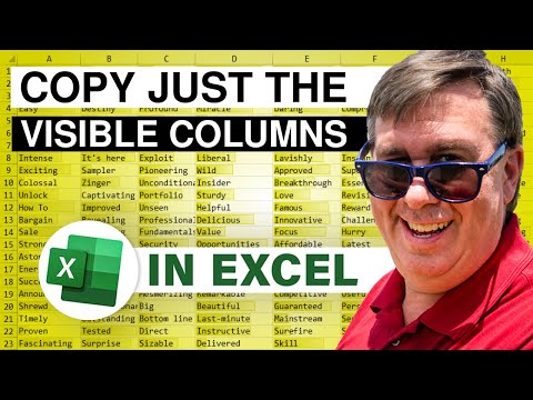Excel - How to Copy Only The Visible Columns - 2682