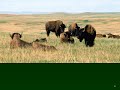 Temperate Grasslands Knowledge Assessment