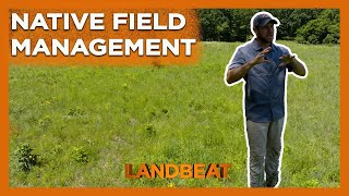 Why This Overgrown Field Is Actually Awesome!
