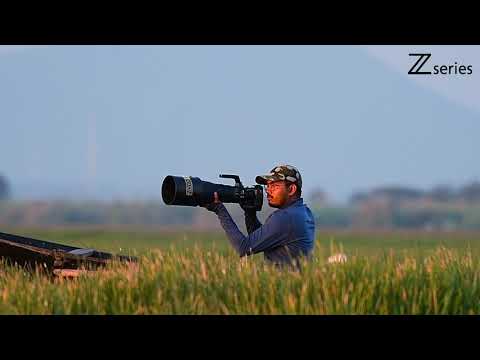 Nikon Z series | wildlife video and BTS #nikonmirrorless