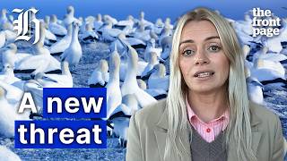 YouTube video thumbnail: How H5N1 Reached NZ and What it Means for Our Birds