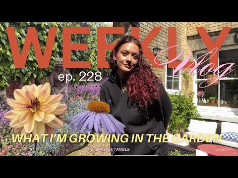 what I'm growing in my garden 🌸 my dahlia collection!  (FINALLY a gardening girly!)  weekly vlog 228