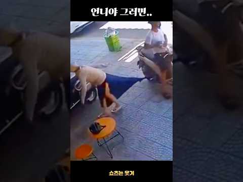 황당하게 웃긴 순간 37탄
